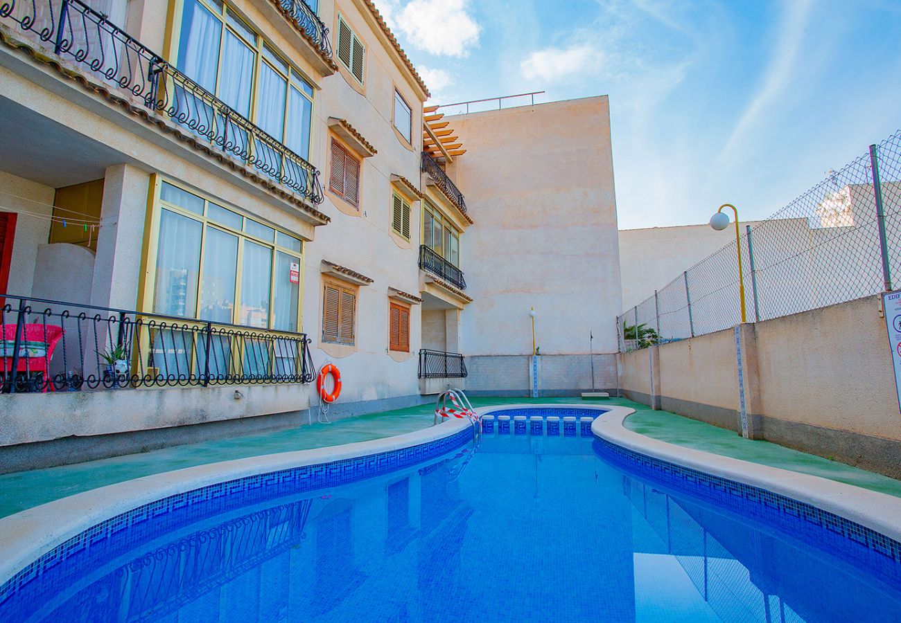Apartamento en Torrevieja - 124 Studio Relax - Alicante Holiday