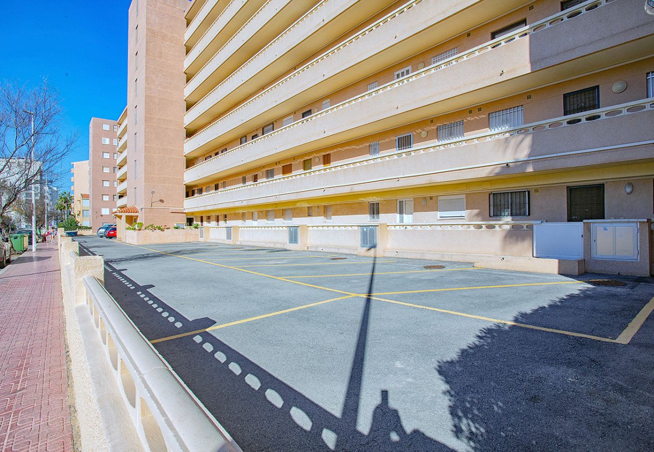 Apartamento en La Mata - 131 Sea Dream - Alicante Holiday