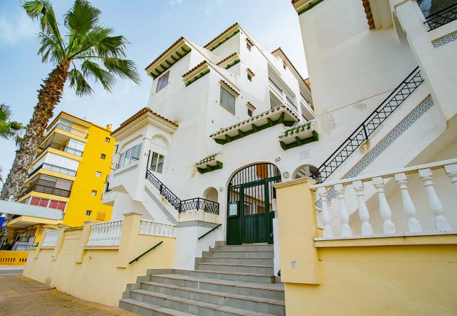 Apartamento en La Mata - 020 Lovely Studio - Alicante Holiday Apartamento en La Mata - 020 Lovely Studio - Alicante Holiday