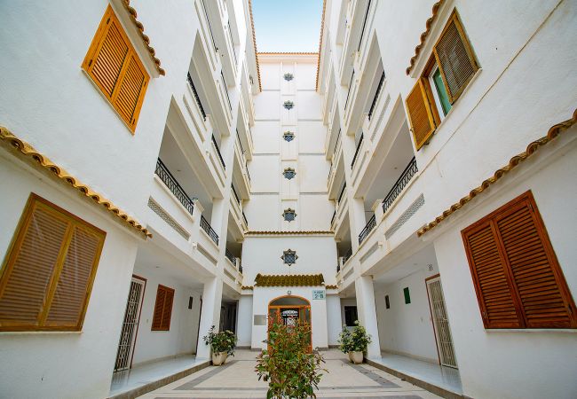 Apartamento en La Mata - 020 Lovely Studio - Alicante Holiday Apartamento en La Mata - 020 Lovely Studio - Alicante Holiday