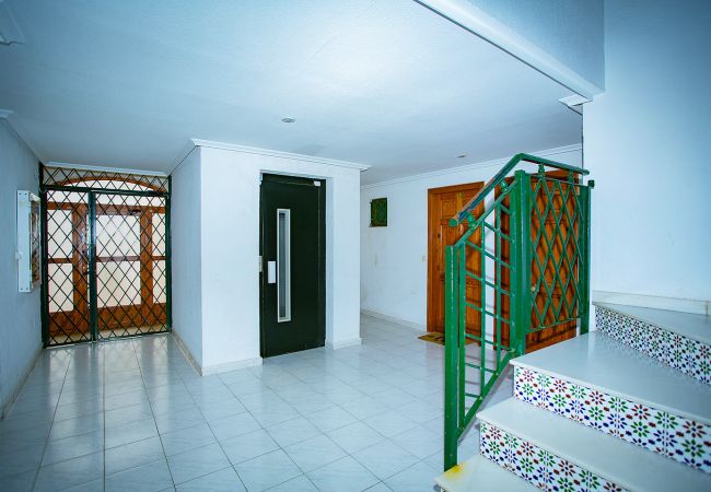 Apartamento en La Mata - 020 Lovely Studio - Alicante Holiday Apartamento en La Mata - 020 Lovely Studio - Alicante Holiday