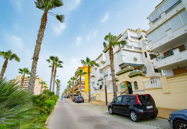 Apartamento en La Mata - 020 Lovely Studio - Alicante Holiday Apartamento en La Mata - 020 Lovely Studio - Alicante Holiday