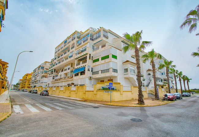 Apartamento en La Mata - 020 Lovely Studio - Alicante Holiday Apartamento en La Mata - 020 Lovely Studio - Alicante Holiday