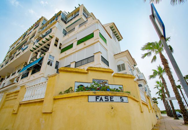 Apartamento en La Mata - 020 Lovely Studio - Alicante Holiday Apartamento en La Mata - 020 Lovely Studio - Alicante Holiday