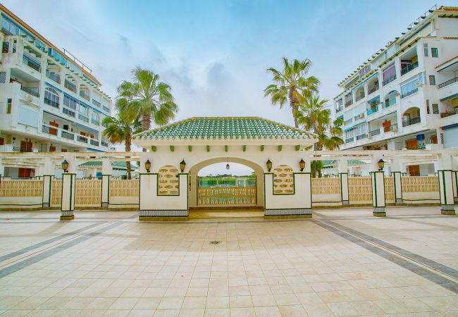 Apartamento en La Mata - 020 Lovely Studio - Alicante Holiday Apartamento en La Mata - 020 Lovely Studio - Alicante Holiday