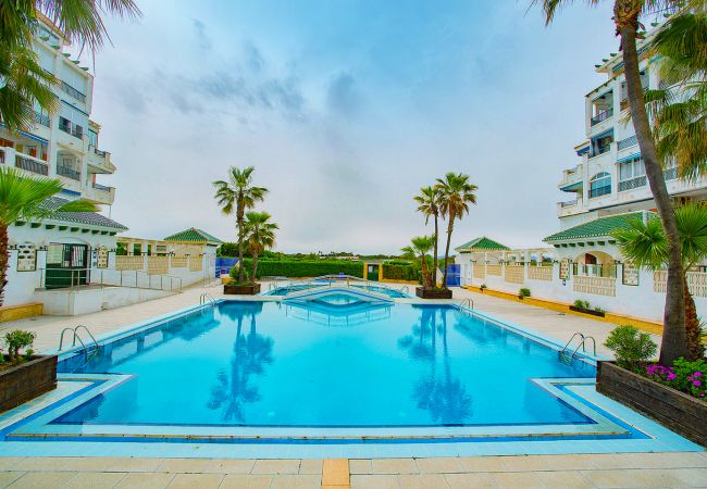 Apartamento en La Mata - 020 Lovely Studio - Alicante Holiday Apartamento en La Mata - 020 Lovely Studio - Alicante Holiday