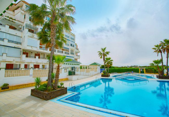 Apartamento en La Mata - 020 Lovely Studio - Alicante Holiday Apartamento en La Mata - 020 Lovely Studio - Alicante Holiday