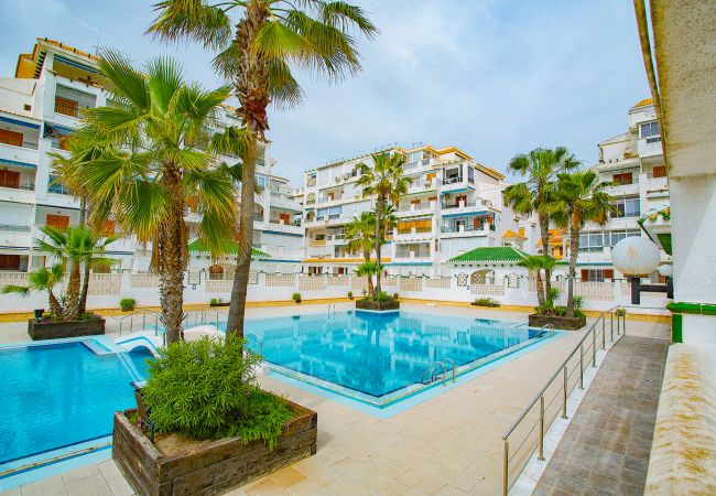 Apartamento en La Mata - 020 Lovely Studio - Alicante Holiday Apartamento en La Mata - 020 Lovely Studio - Alicante Holiday