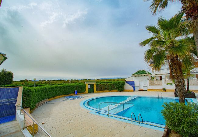 Apartamento en La Mata - 020 Lovely Studio - Alicante Holiday Apartamento en La Mata - 020 Lovely Studio - Alicante Holiday