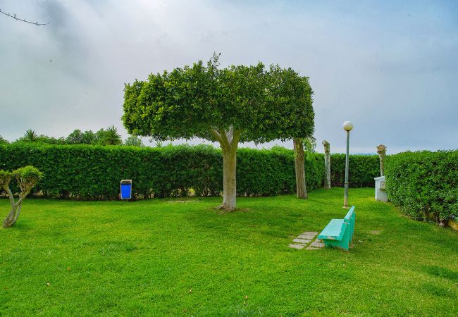 Apartamento en La Mata - 020 Lovely Studio - Alicante Holiday Apartamento en La Mata - 020 Lovely Studio - Alicante Holiday