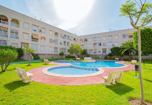 Apartamento en Torrevieja - 134 Urbano Chill - Alicante Holiday