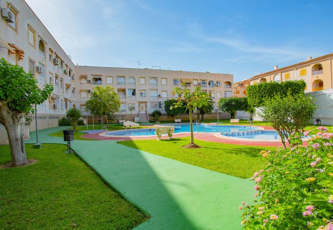 Apartamento en Torrevieja - 134 Urbano Chill - Alicante Holiday