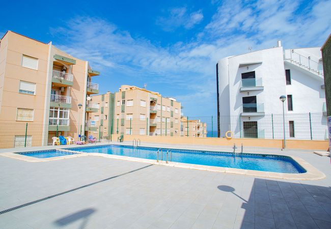 Apartamento en La Mata - 097 Leandros Playa - Alicante Holiday Apartamento en La Mata - 097 Leandros Playa - Alicante Holiday