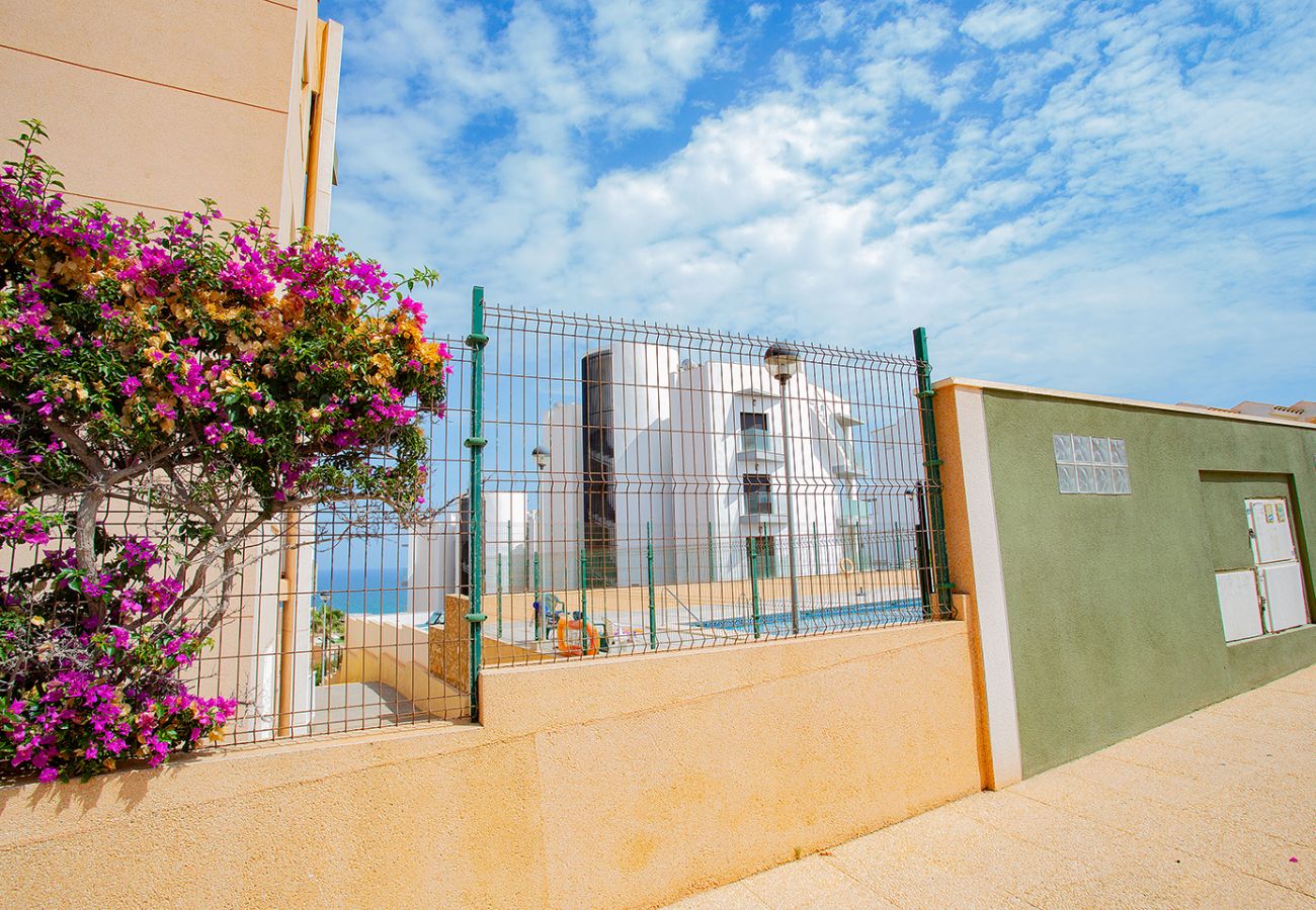 Apartamento en La Mata - 097 Leandros Playa - Alicante Holiday