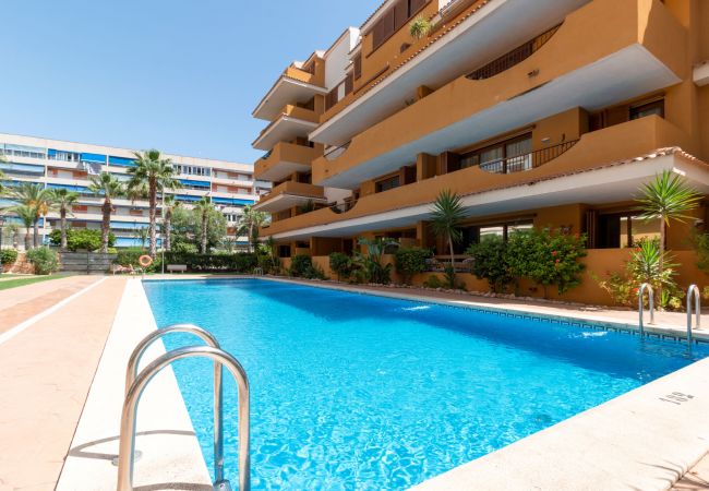 Apartamento en Torrevieja - 222 Lovely 3  Pools Home - Alicante Holiday