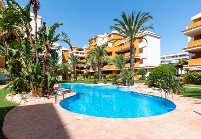 Apartamento en Torrevieja - 222 Lovely 3  Pools Home - Alicante Holiday