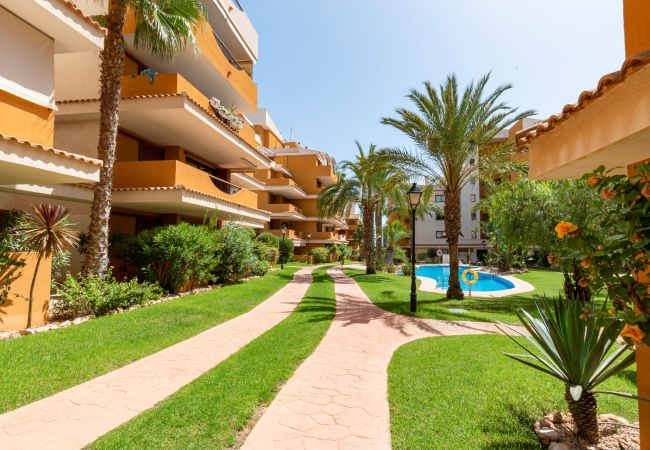 Apartamento en Torrevieja - 222 Lovely 3  Pools Home - Alicante Holiday