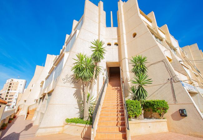Apartamento en Torrevieja - 108 Magic Lomas Playa - Alicante Holiday