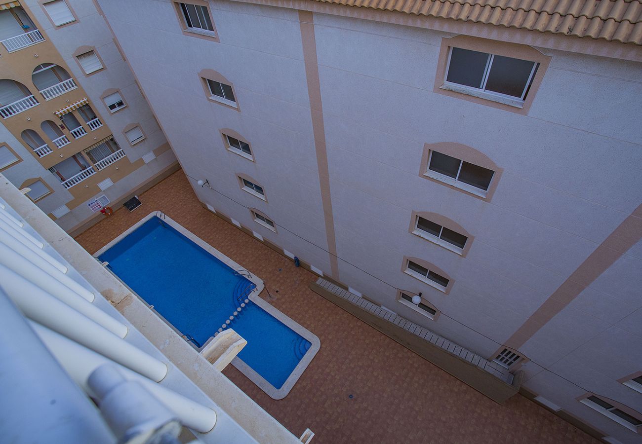 Apartamento en Torrevieja - 001 City style - Alicante Holiday