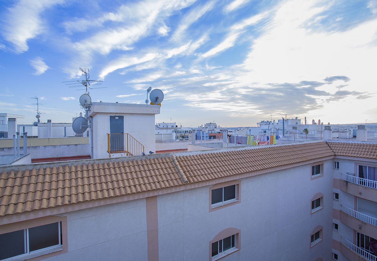 Apartamento en Torrevieja - 001 City style - Alicante Holiday
