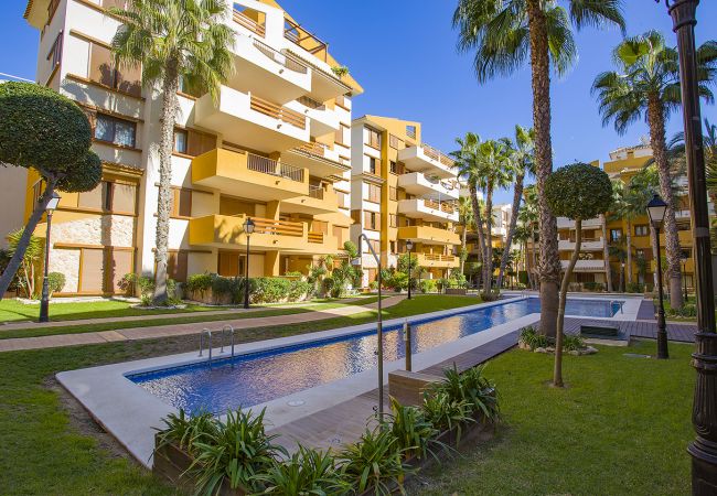 Apartamento en Torrevieja - 231  Recoleta Style Relax - Alicante Holiday