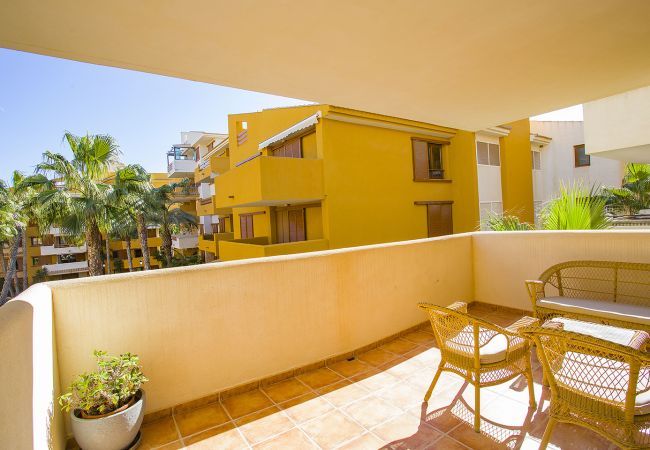 Apartamento en Torrevieja - 231  Recoleta Style Relax - Alicante Holiday