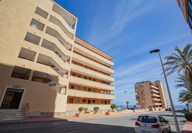 Apartamento en Torrevieja - 037 Blue Laguna - Alicante Holiday