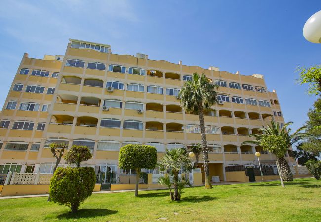 Apartamento en Torrevieja - 025 Helena Nice Terrace - Alicante Holiday