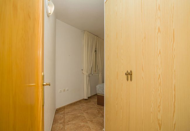 Apartamento en Torrevieja - 141 Rambla Nice Place - Alicante Holiday