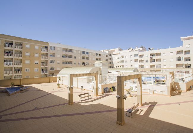 Apartamento en Torrevieja - 141 Rambla Nice Place - Alicante Holiday