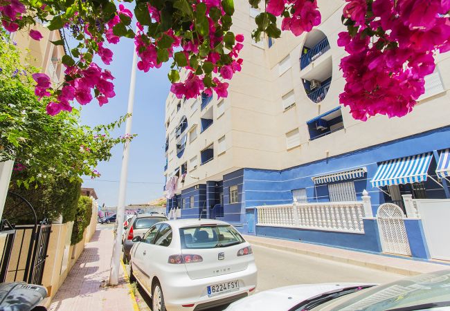 Apartamento en La Mata - 086 Retro Mayor Holiday - Alicante Holiday