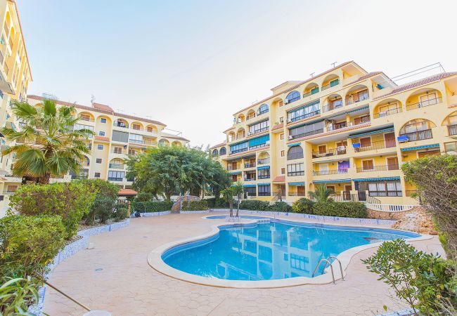 Apartamento en La Mata - 013 Sunny Beach Spain Apartment - Alicante Holiday