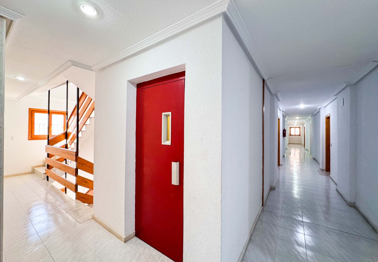 Apartamento en La Mata - 013 Sunny Beach Spain Apartment - Alicante Holiday