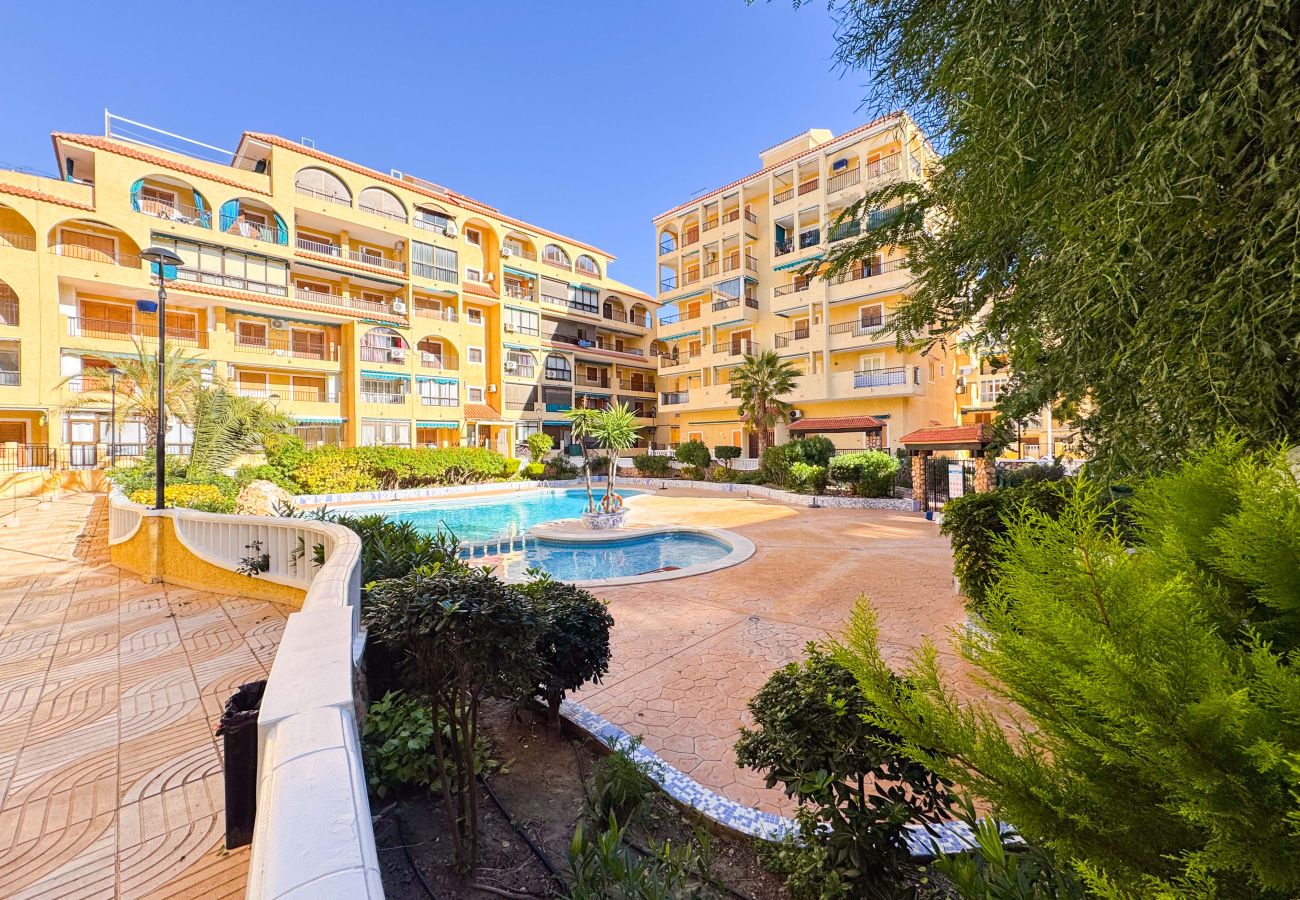 Apartamento en La Mata - 013 Sunny Beach Spain Apartment - Alicante Holiday