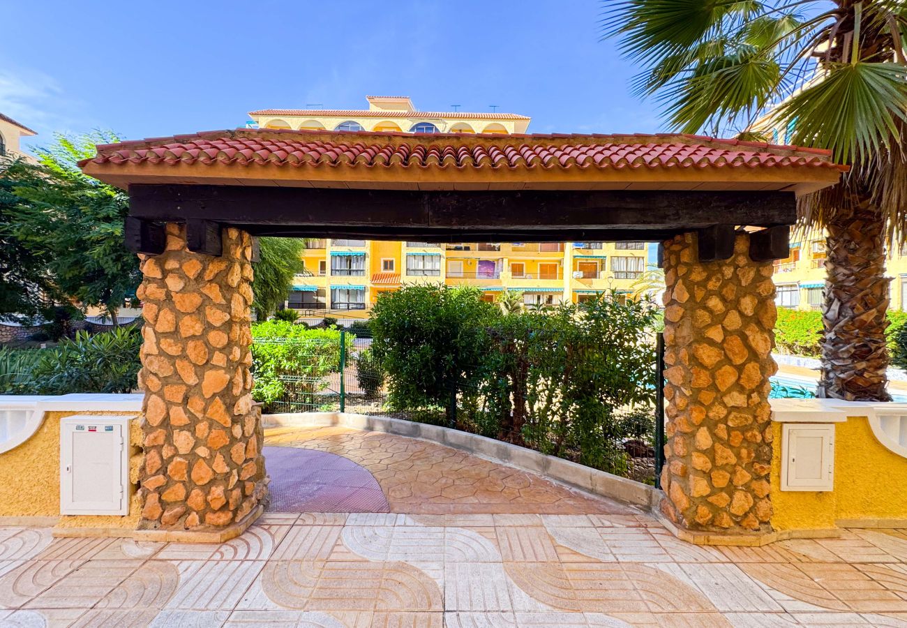 Apartamento en La Mata - 013 Sunny Beach Spain Apartment - Alicante Holiday