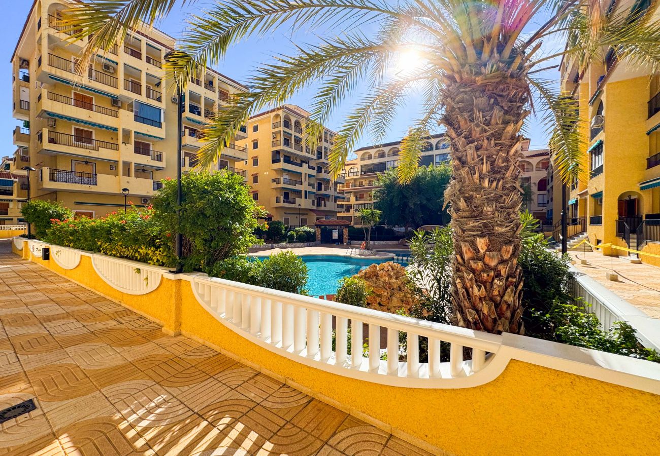 Apartamento en La Mata - 013 Sunny Beach Spain Apartment - Alicante Holiday