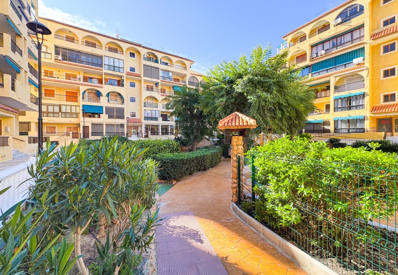 Apartamento en La Mata - 013 Sunny Beach Spain Apartment - Alicante Holiday