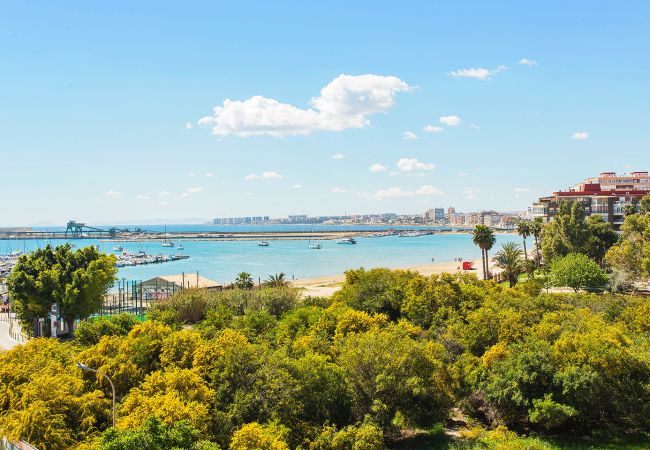Apartamento en Torrevieja - 161 Nice Views  Apartment Alicante Holid