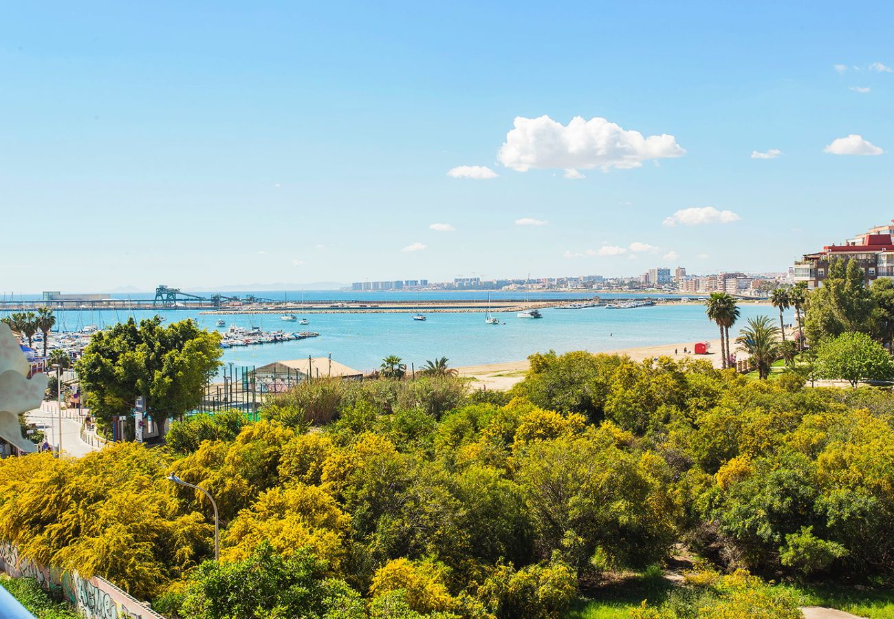 Apartamento en Torrevieja - 161 Nice Views  Apartment Alicante Holid