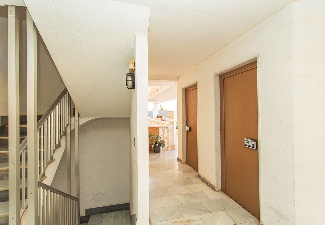 Apartamento en Torrevieja - 173 Cozy Apartment Alicante-Holiday