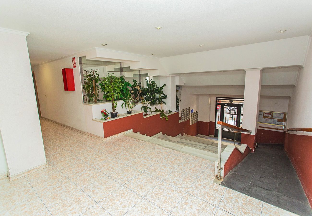 Apartamento en Torrevieja - 164 Comfortable apartment Alicante-Holiday