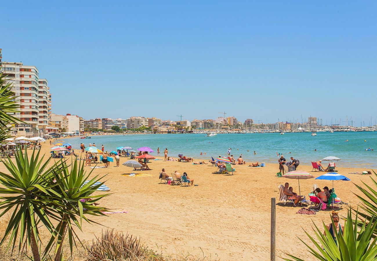 Apartamento en Torrevieja - 165 Comfortable apartment Alicante-Holiday
