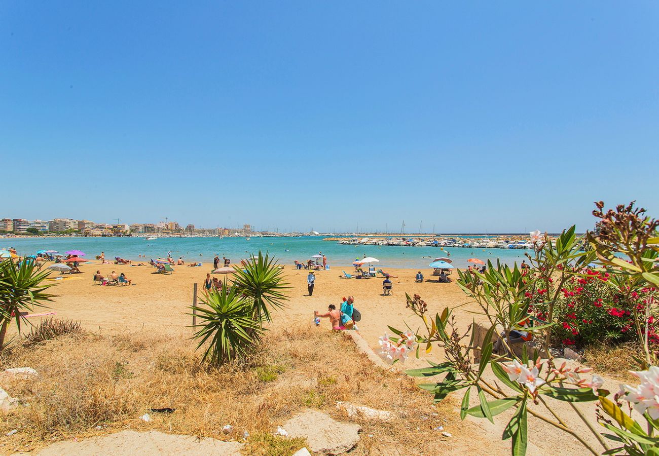 Apartamento en Torrevieja - 165 Comfortable apartment Alicante-Holiday