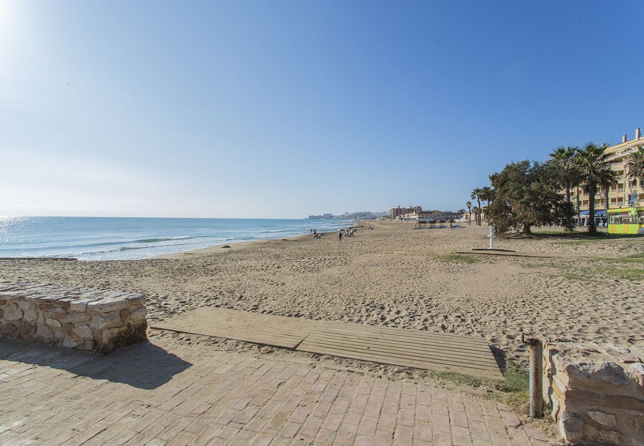 Apartamento en La Mata - 006 Sweet Holidays - Alicante Holiday