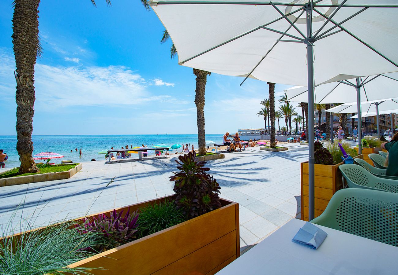 Apartamento en Torrevieja - 037 Modern Sweet Apartment - Alicante Holiday