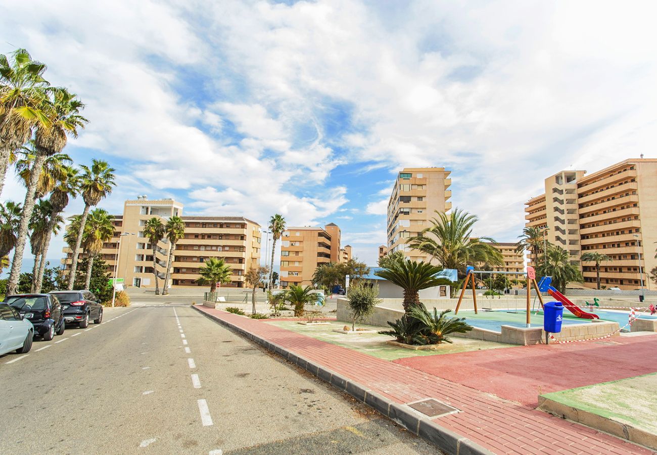 Apartment in Torrevieja - 040 Kate el Coral - Alicante Real Estate