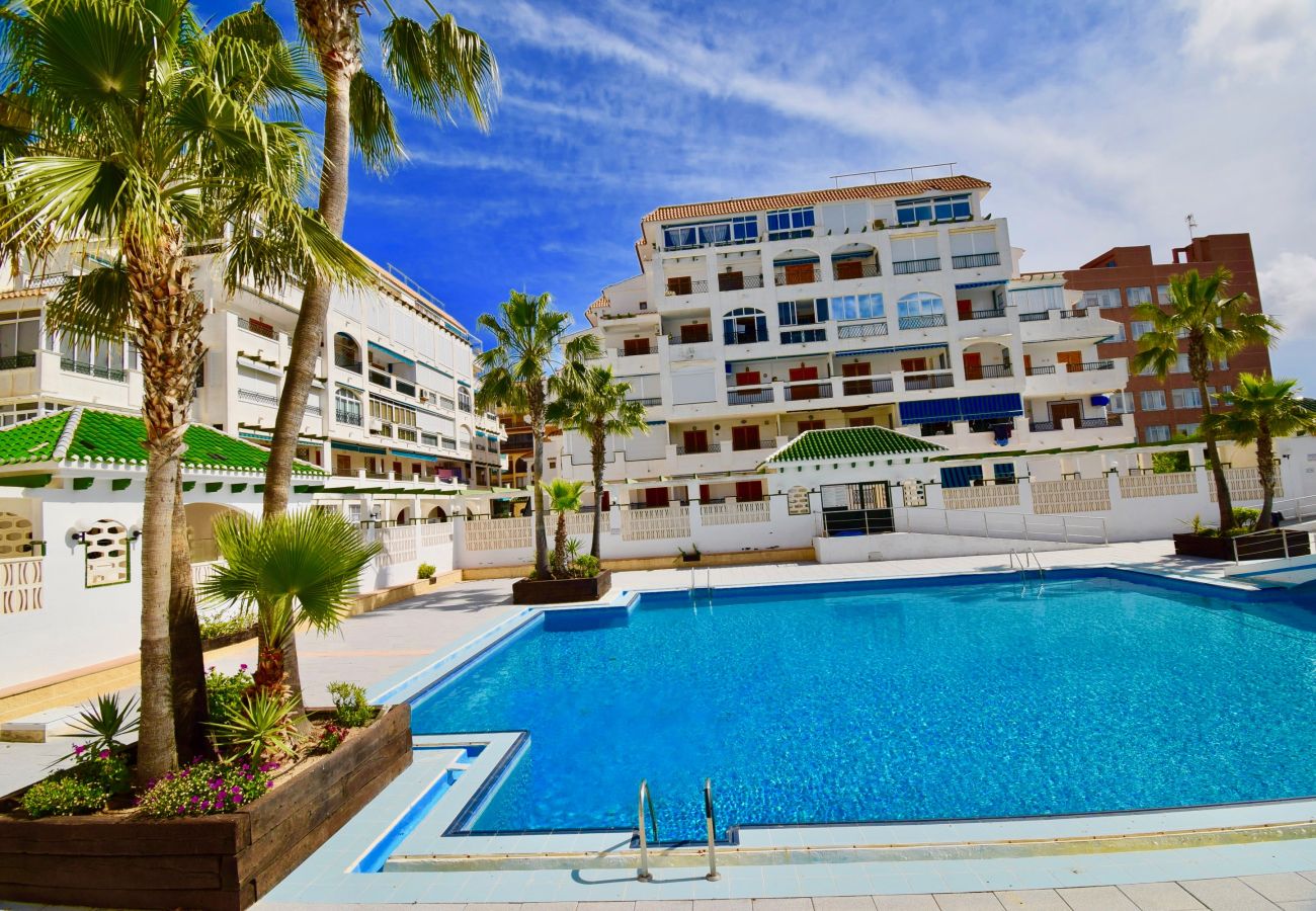 Apartment in La Mata - 034 All Year Sun & Pool / AC - Wifi