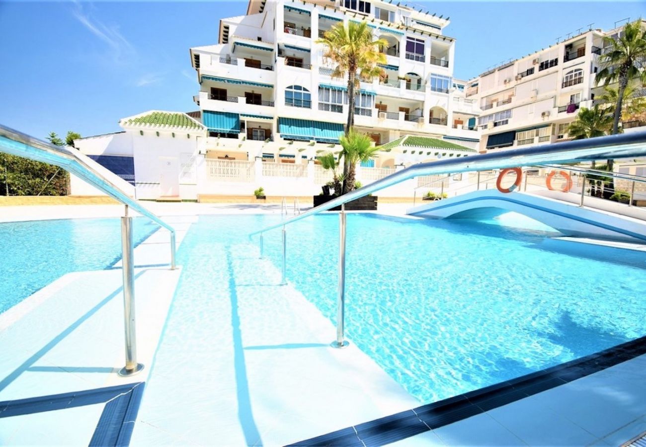Apartment in La Mata - 052 Luxury Pool - AC/WIFI