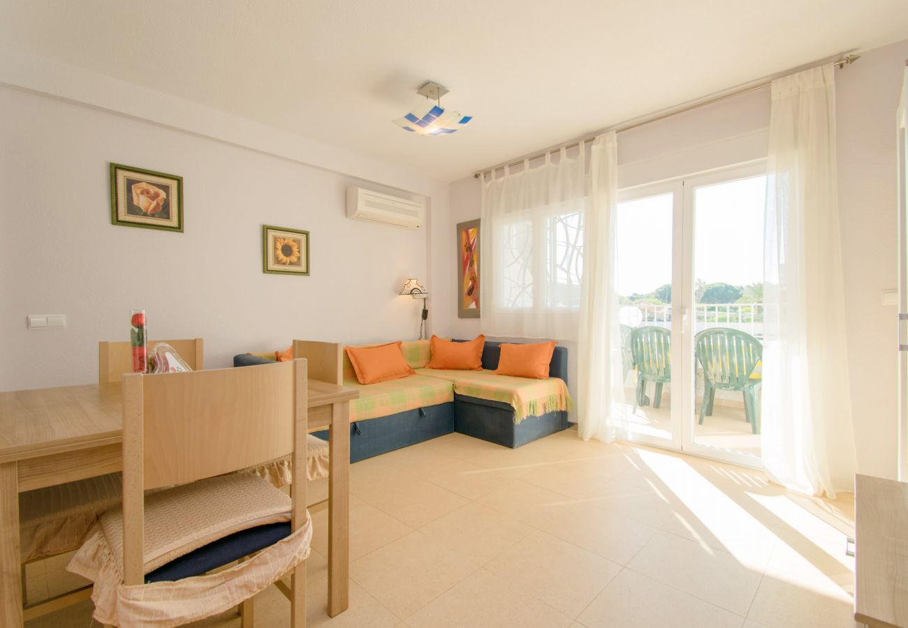 Studio in Guardamar - 054 Pinomar Holiday - Alicante Real Estate