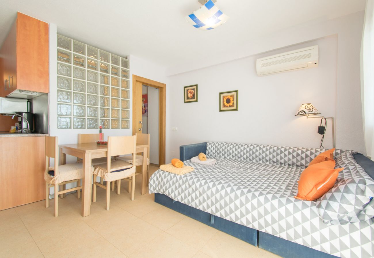 Studio in Guardamar - 054 Pinomar Holiday - Alicante Real Estate